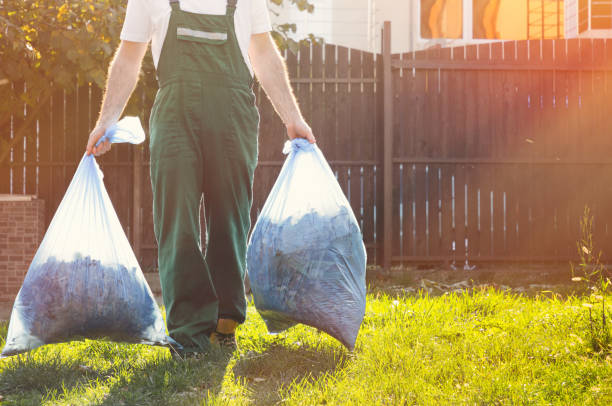 Best Same-Day Junk Removal Services  in Whetstone, AZ